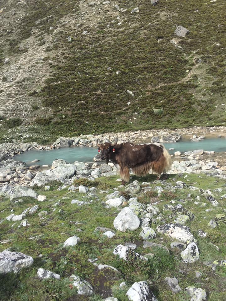 Поход на Эверест к озеру Токио (Токио, Шри-Ланка) (11/11)