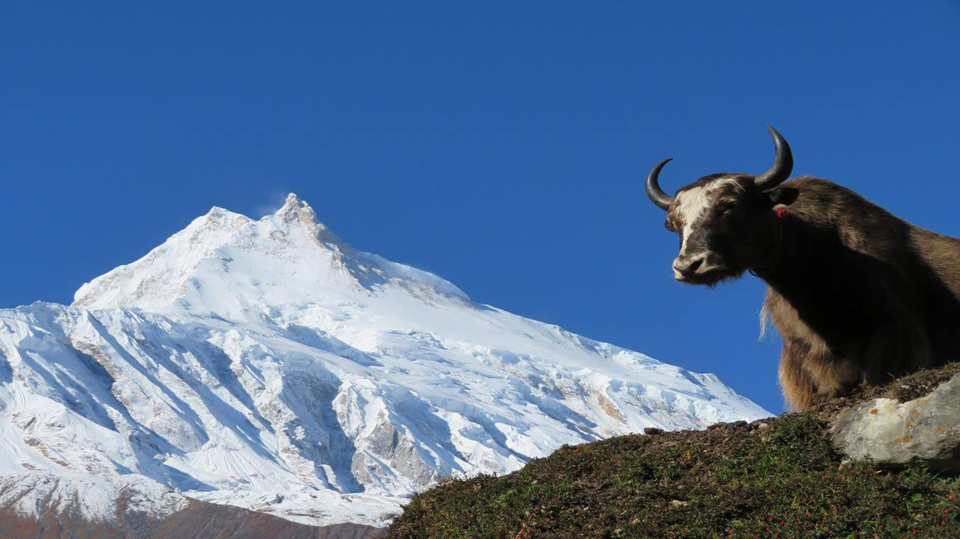 Трек по трассе Манаслу (перевал Ларки) 14 дней (4/10)