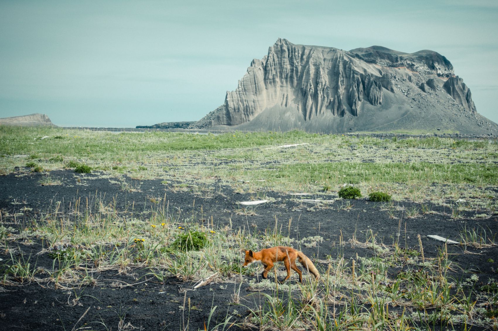 Экспедиция на Северные Курильские острова (2/40)