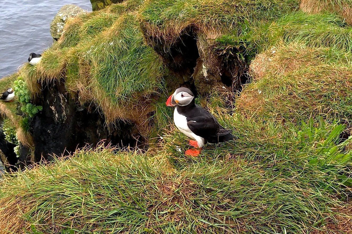 Вокруг Исландии за 9 дней с комфортом (5/16)