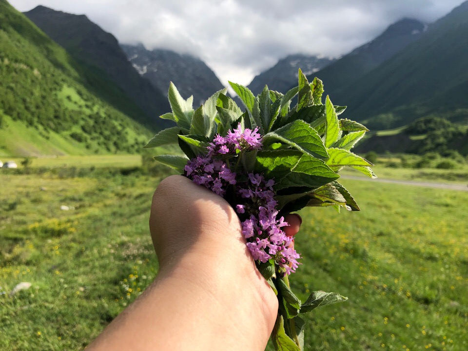 Горы Северной Осетии! 5 дней наслаждения и лучших достопримечательностей