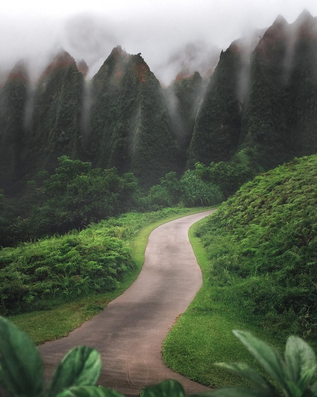 Алоха, Гавайи! (6/33)