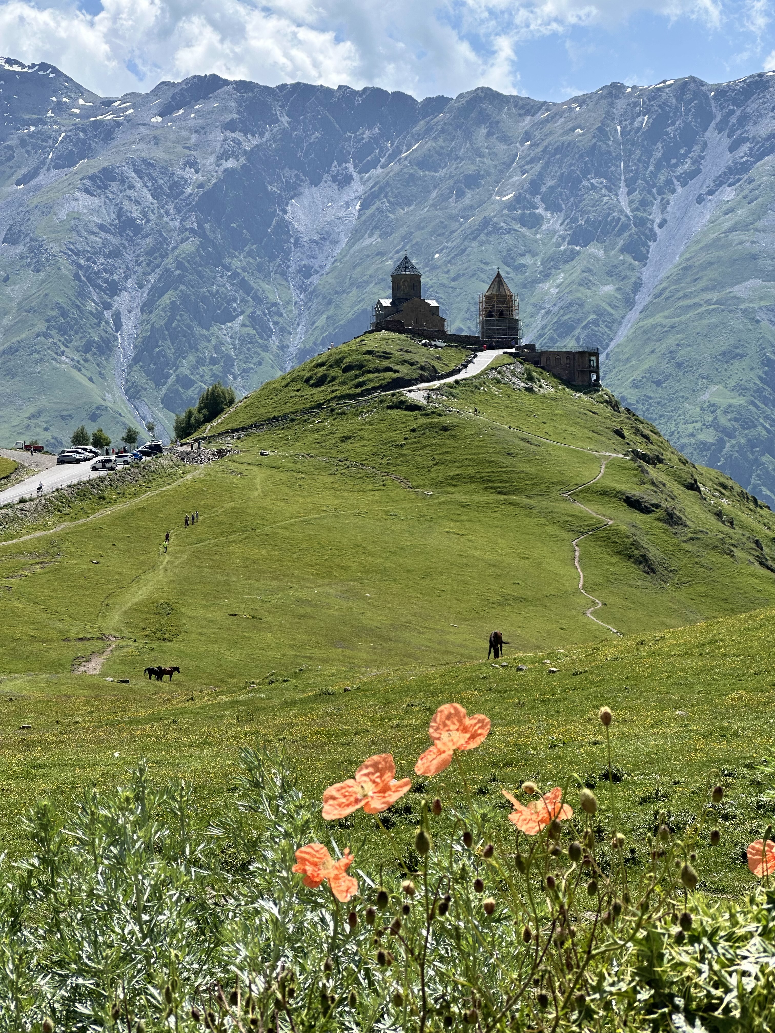 Гамарджоба, Грузия! Горы, история, вино. (27/34)