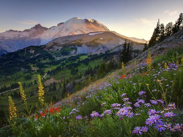 Активная наземная программа по Австралии (6/41)