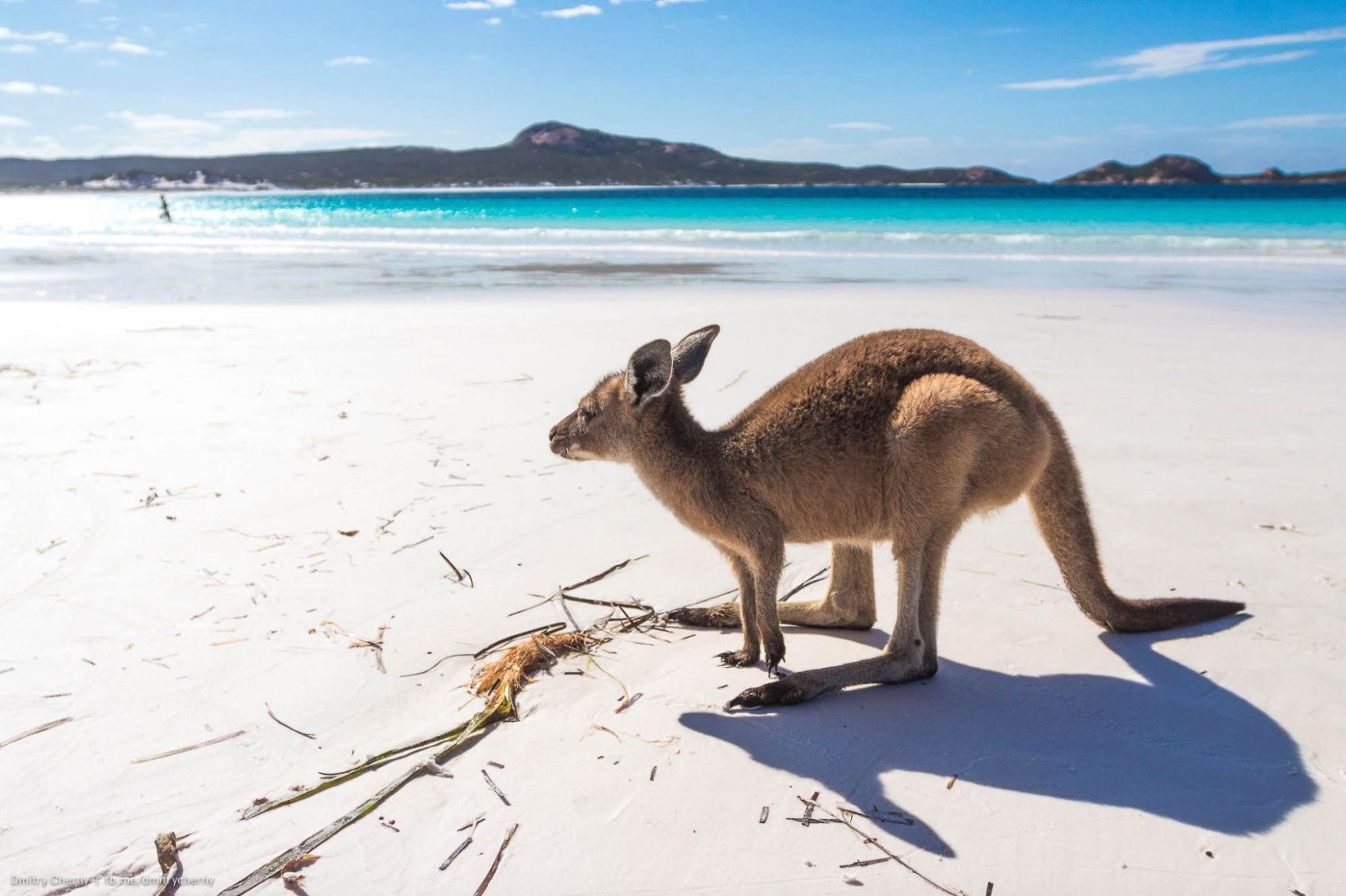 Активная наземная программа по Австралии (7/41)