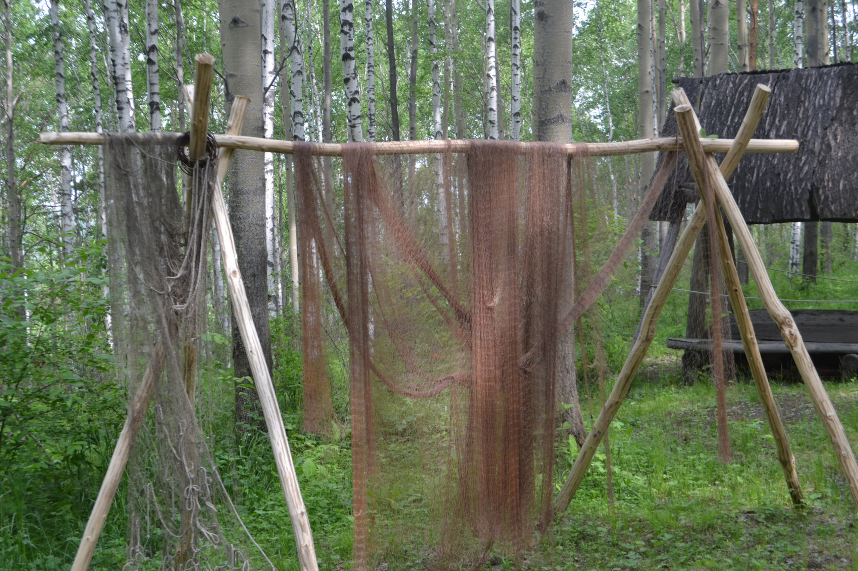 Байкальская Сказка в День России. Топовые локации от Иркутска до Ольхона. (35/90)