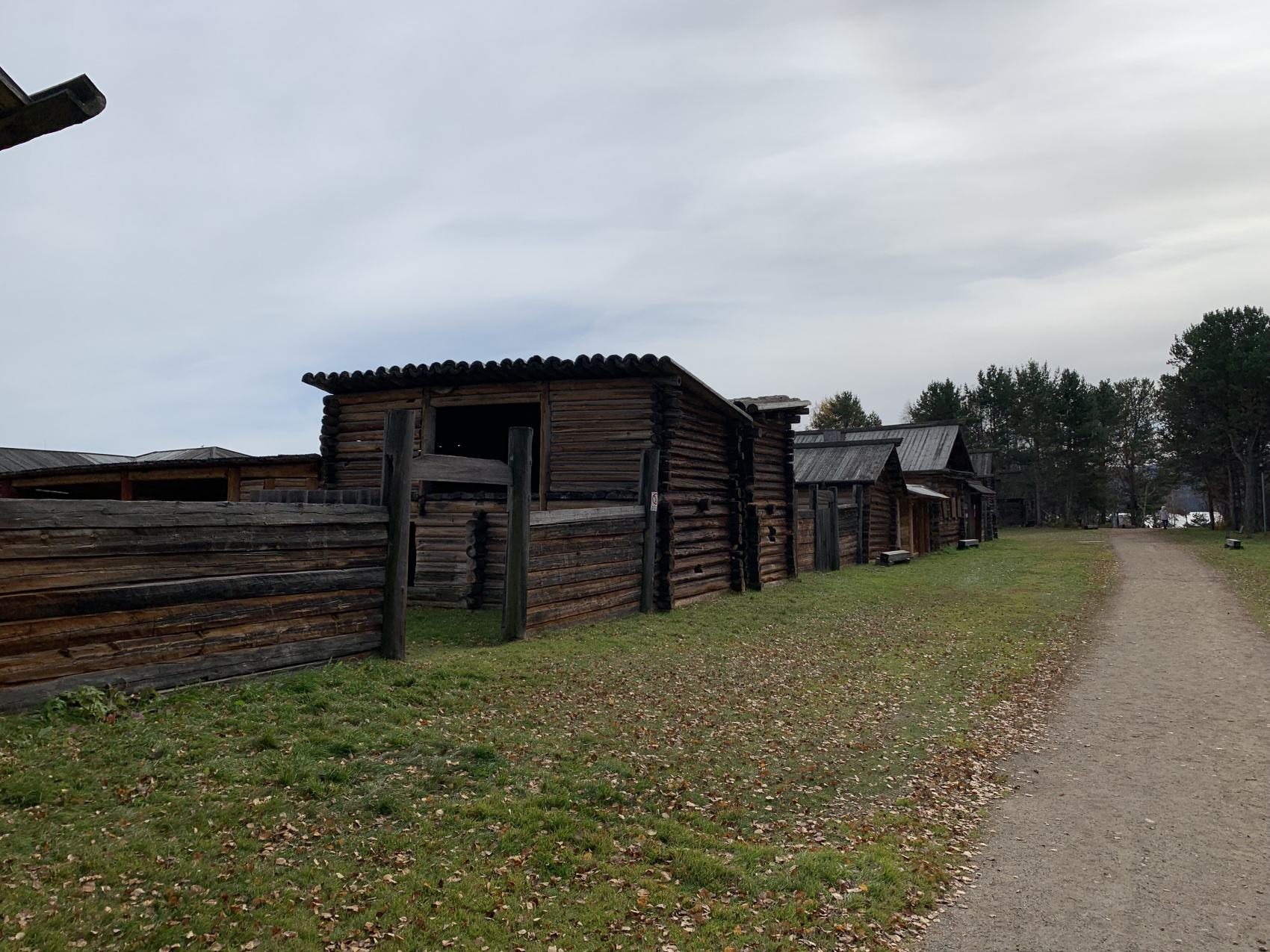 Байкальская Одиссея: много экскурсий, 2 Легких Треккинга. Мощная программа. (28/117)