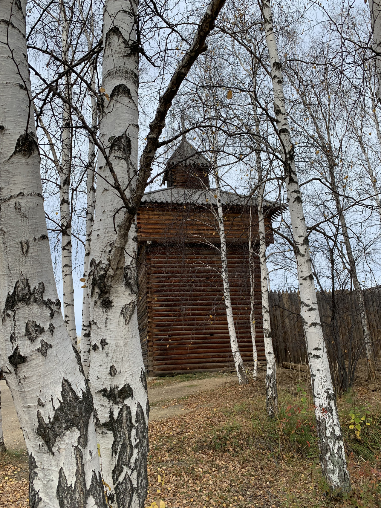 Байкальская Одиссея: много экскурсий, 2 Легких Треккинга. Мощная программа. (36/117)