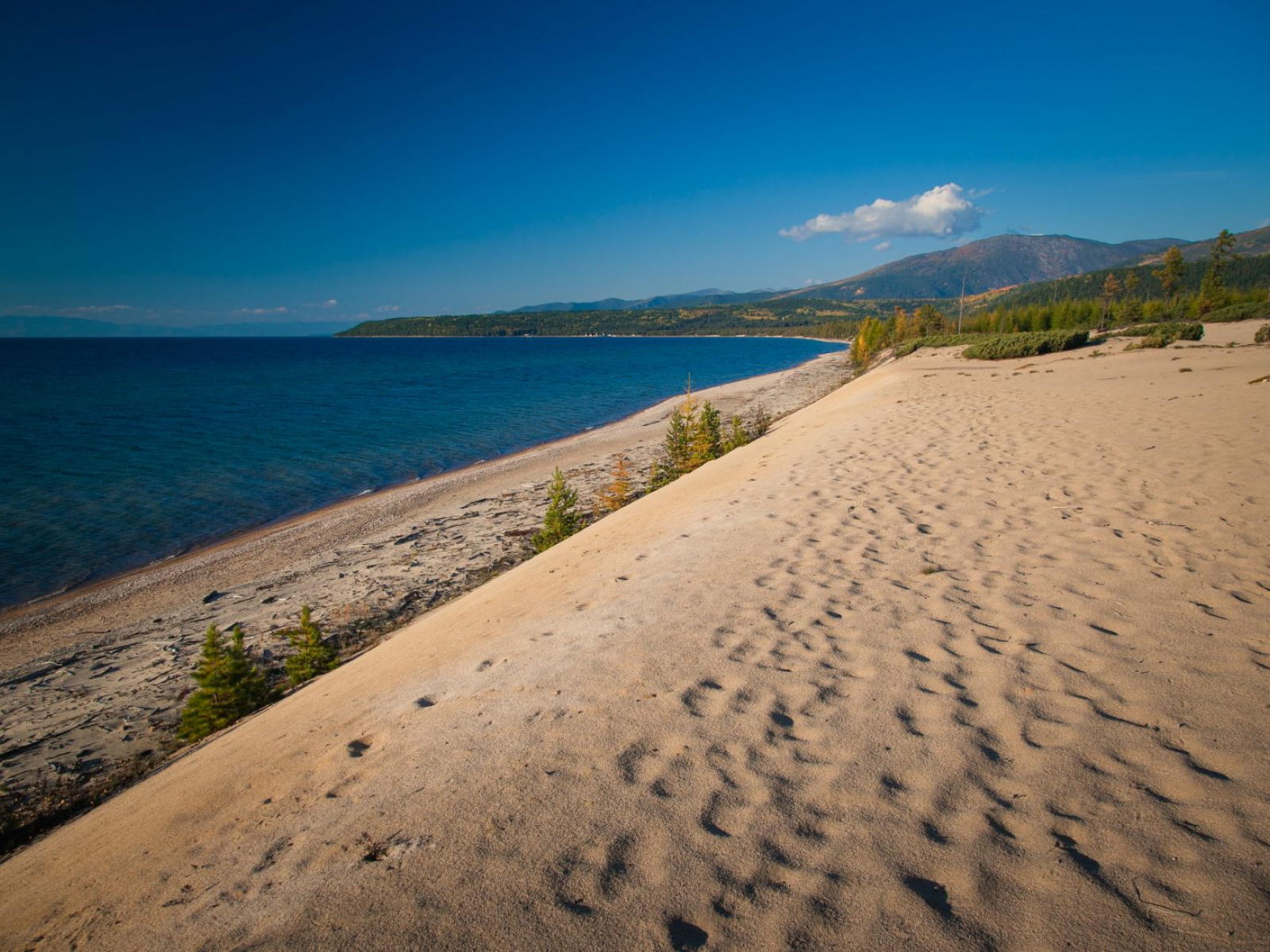 Байкальская Одиссея: много экскурсий, 2 Легких Треккинга. Мощная программа. (12/117)
