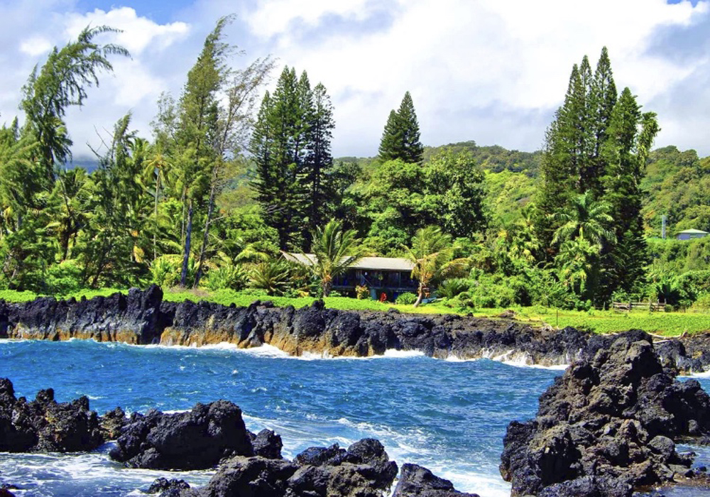 Алоха, Гавайи! (16/33)