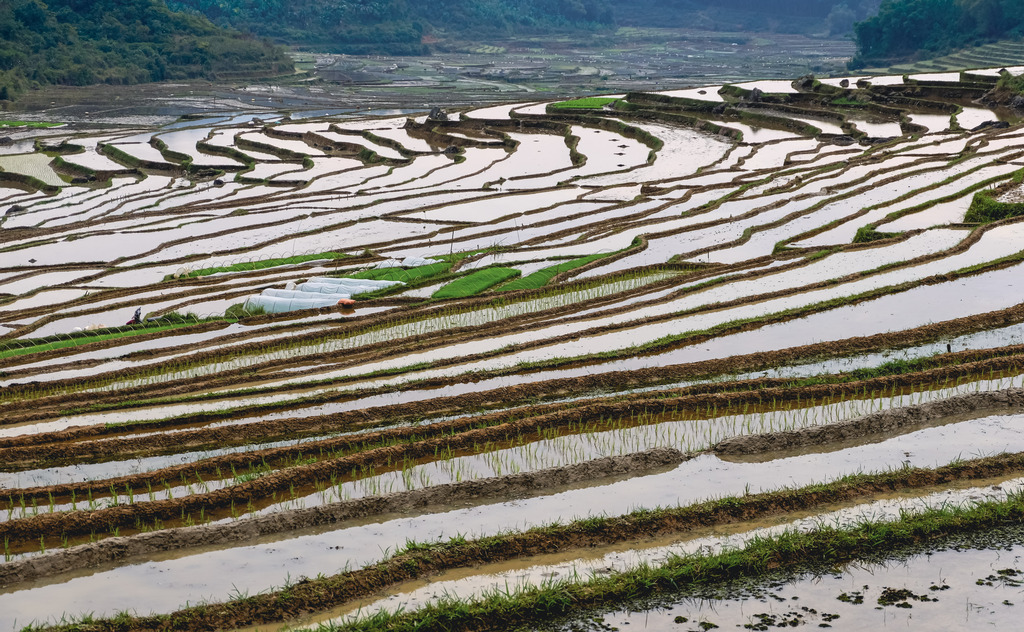 Вьетнам. Невероятное путешествие через всю страну (42/66)