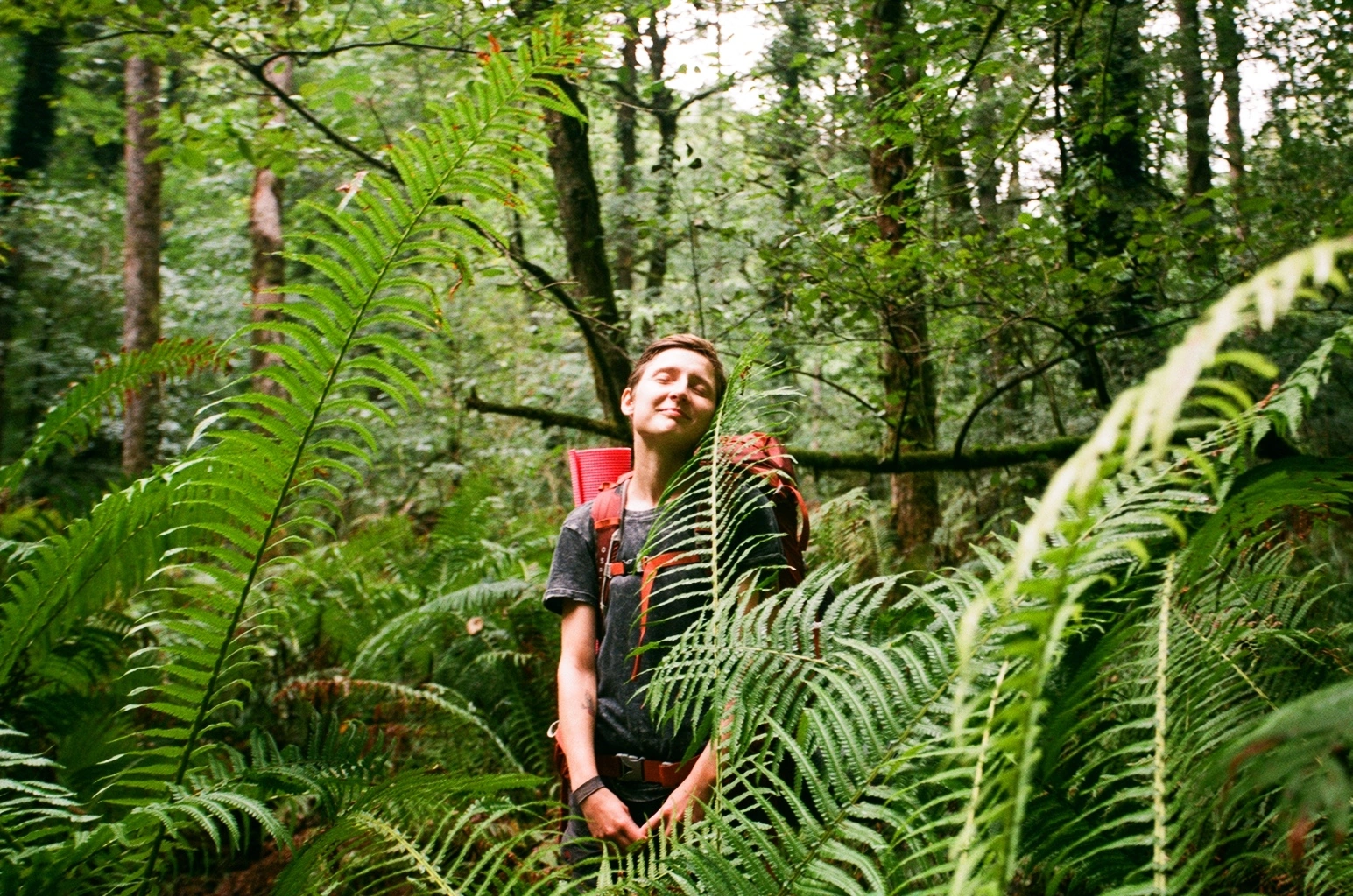 Адыгея. Через горы к морю. 30 маршрут (28/28)