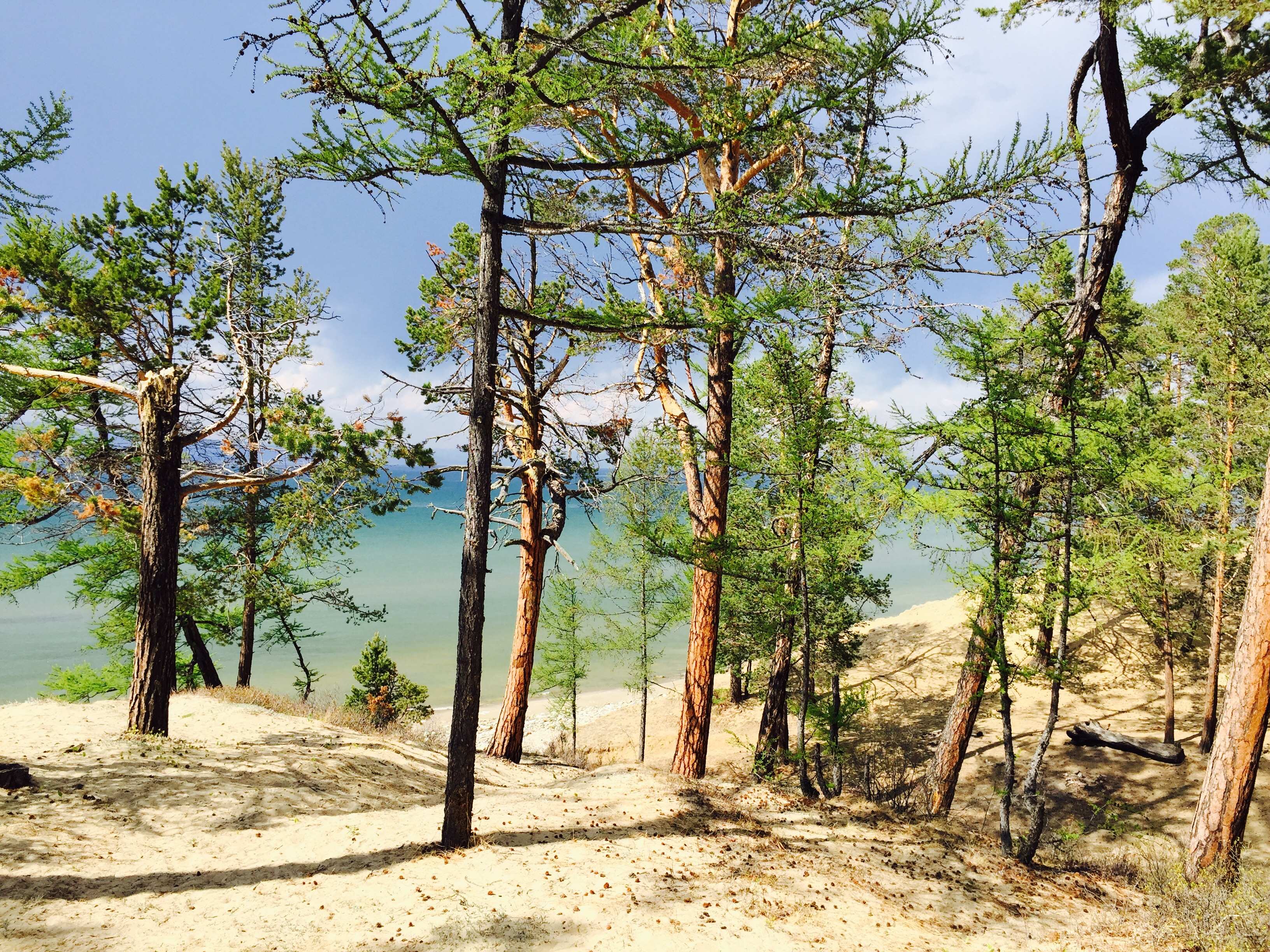 Байкальские мелодии, легенды и тайны: Иркутск, Листвянка, Байкал, Тажераны и Ольхон (46/61)