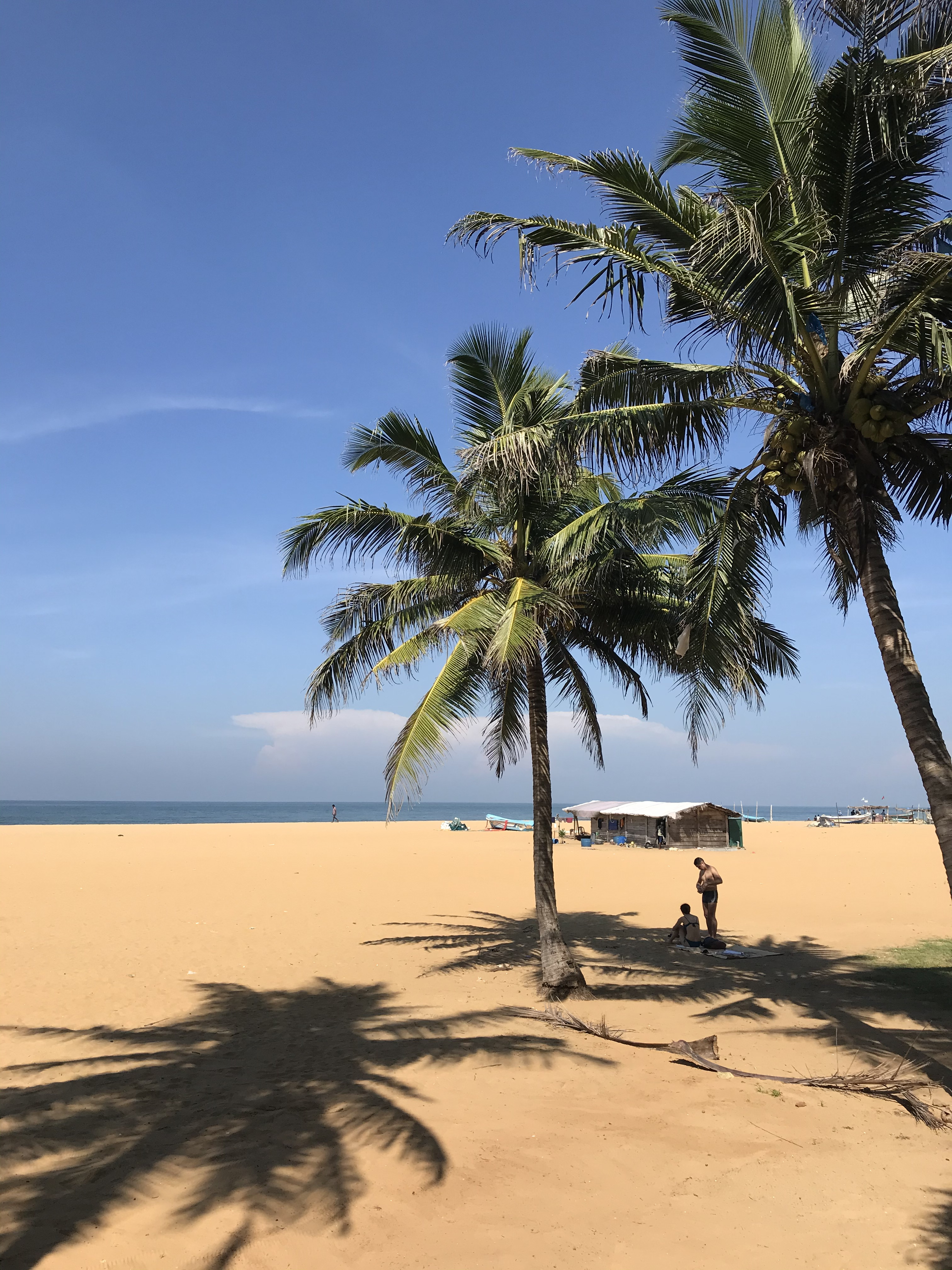 Шри-Ланка. Восточные пляжи, горы, чай, слоны и леопарды (21/45)