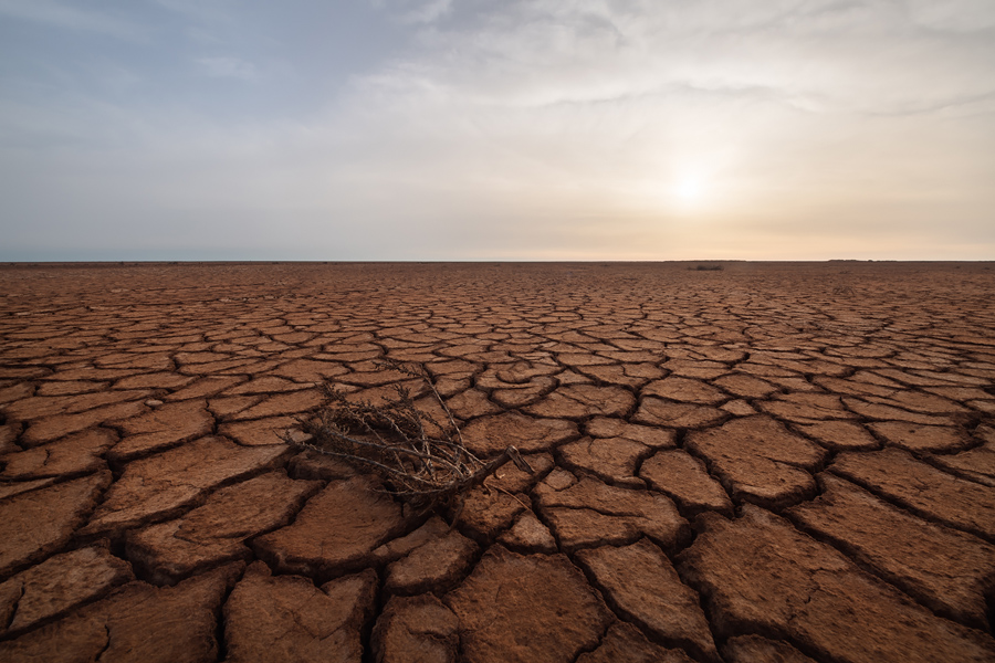 Путешествие в цветущую степь (19/26)