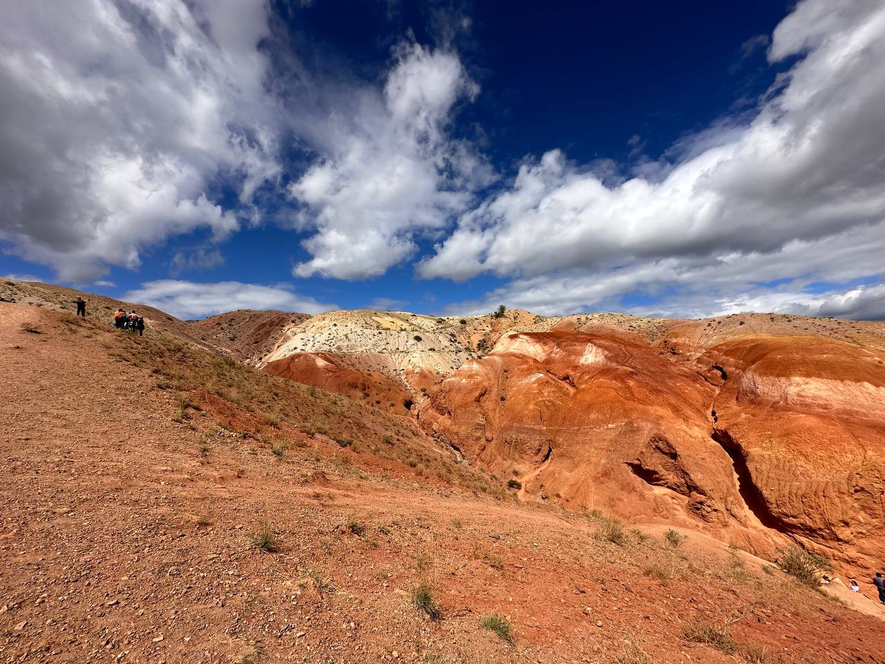 Золотое кольцо Алтая: инстаграмные локации (45/58)