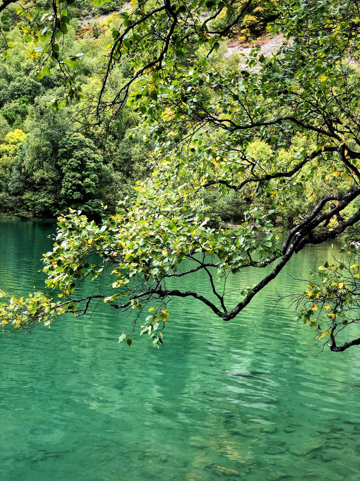 Треккинг тур Домбай.Перезагрузка (33/85)