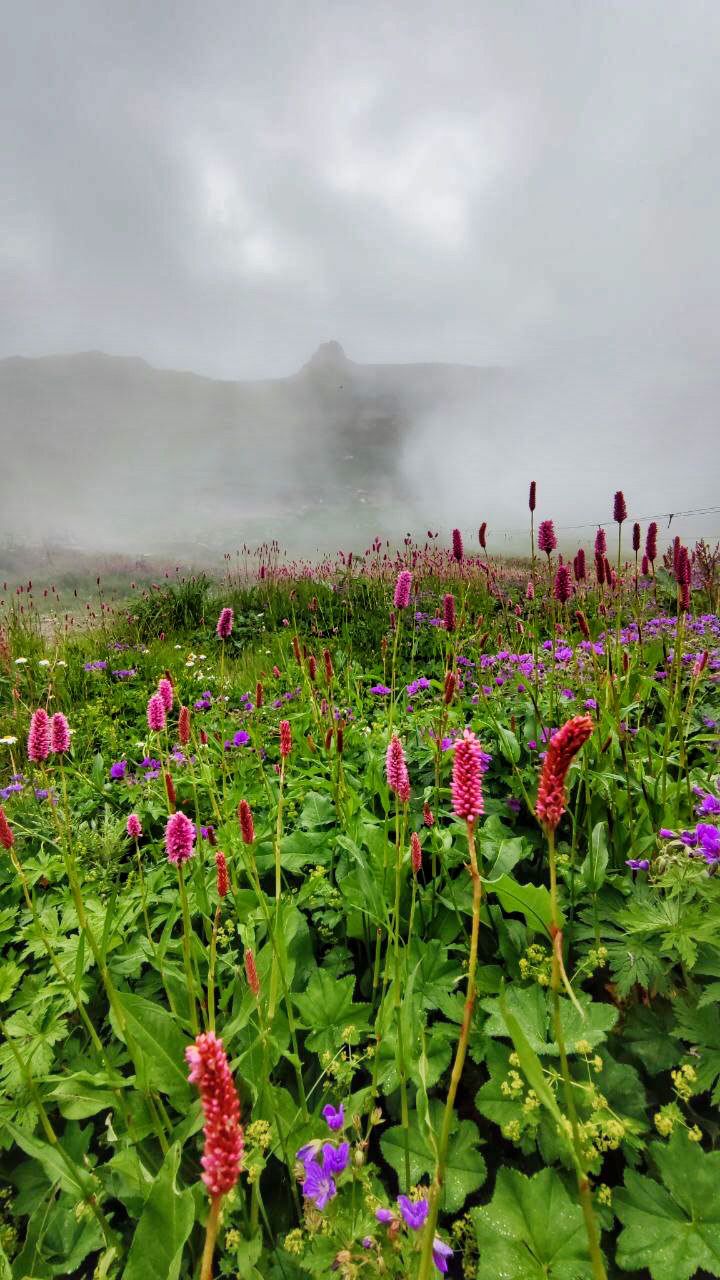 Треккинг тур Домбай.Перезагрузка (23/85)
