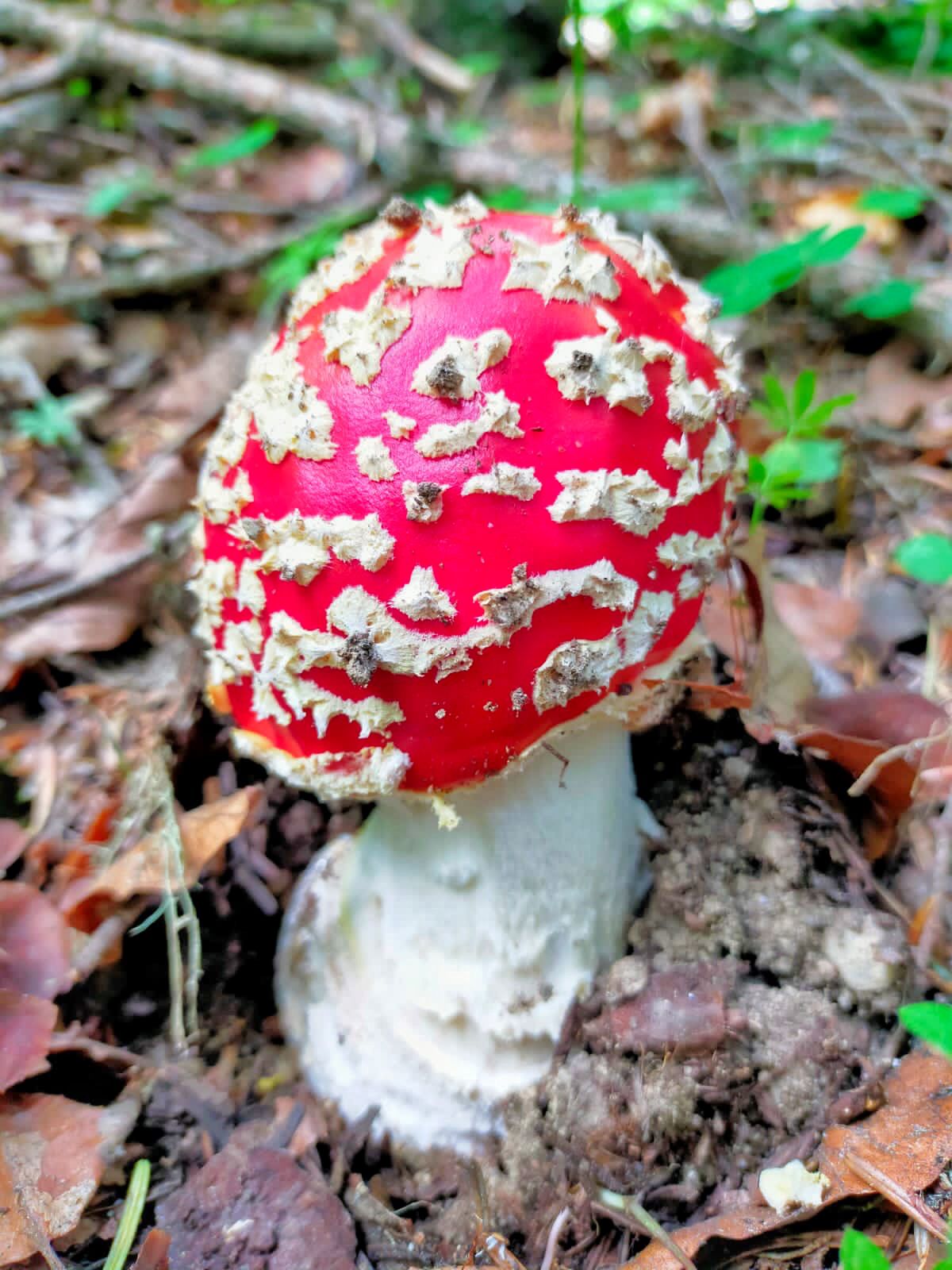 Треккинг тур Домбай.Перезагрузка (18/85)