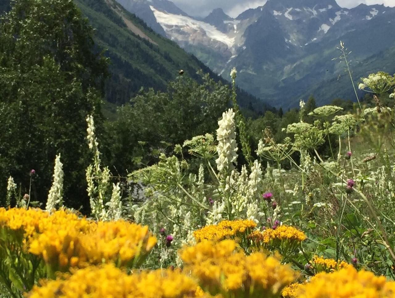 Треккинг тур Домбай.Перезагрузка (5/85)