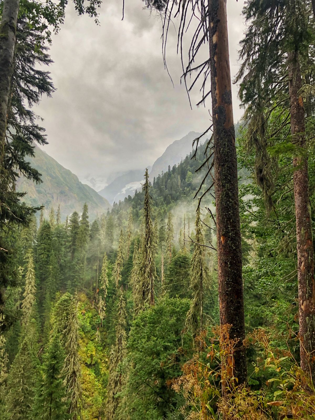 Треккинг тур Домбай.Перезагрузка (28/85)