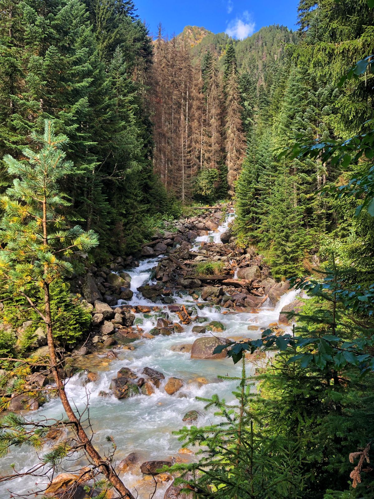 Треккинг тур Домбай.Перезагрузка (31/85)