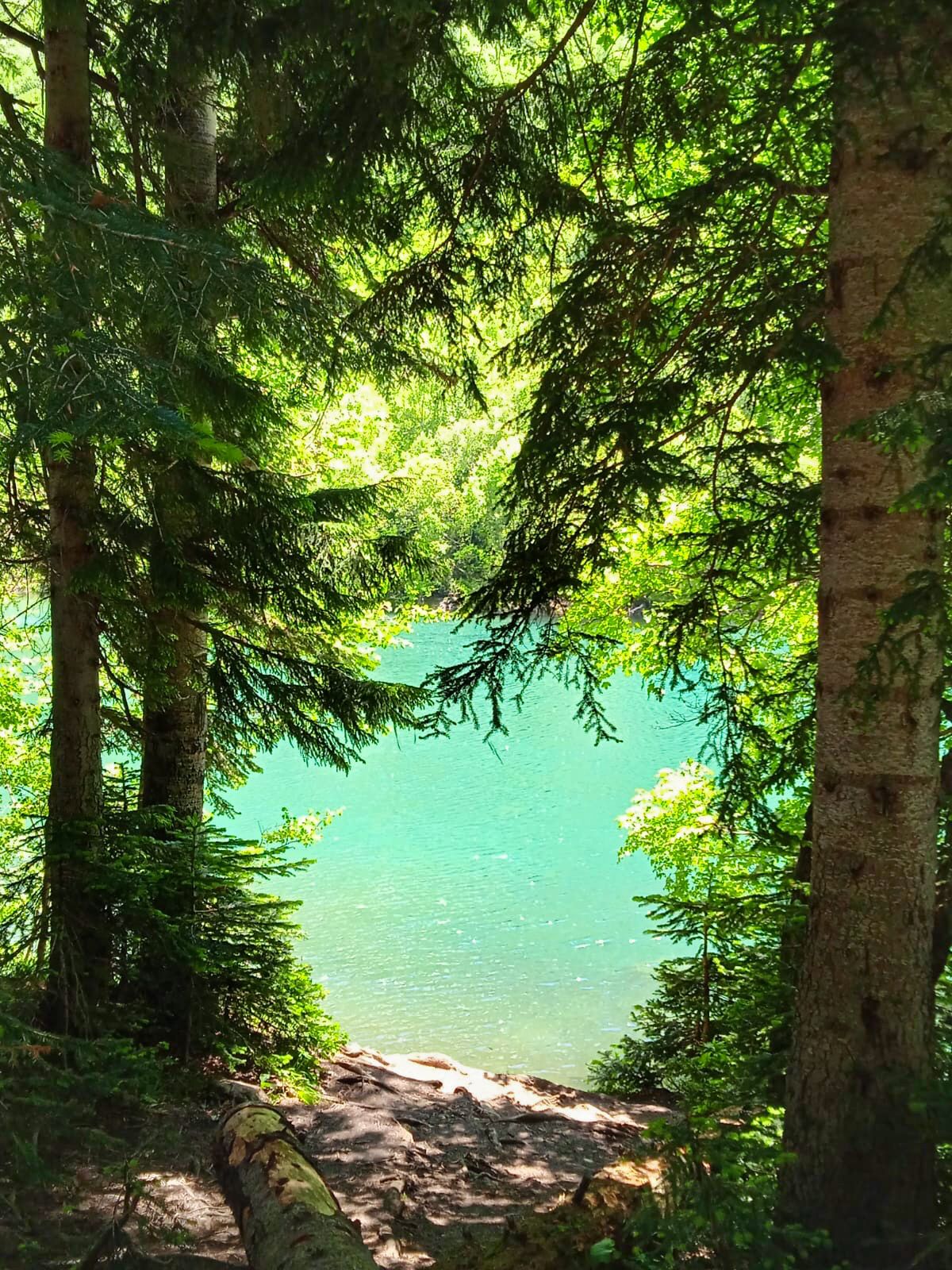 Треккинг тур Домбай.Перезагрузка (15/85)