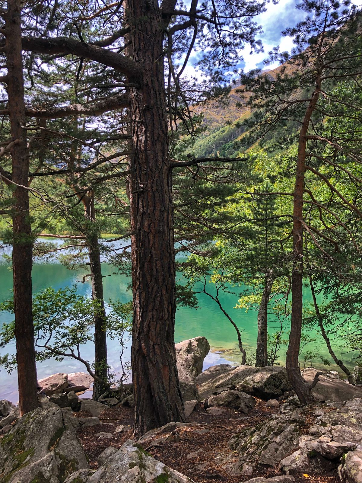 Треккинг тур Домбай.Перезагрузка (35/85)