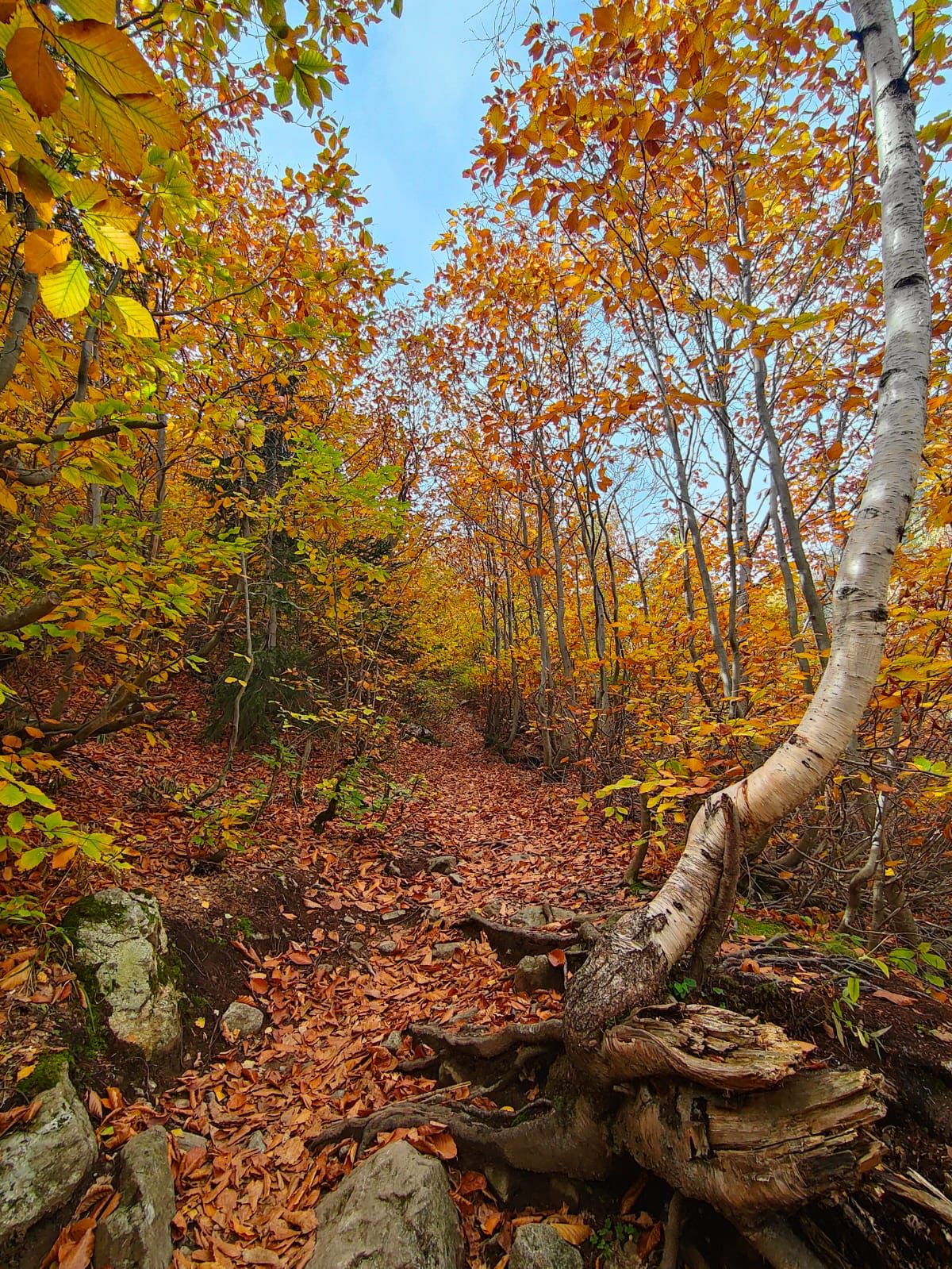 Треккинг тур Домбай.Перезагрузка (57/85)