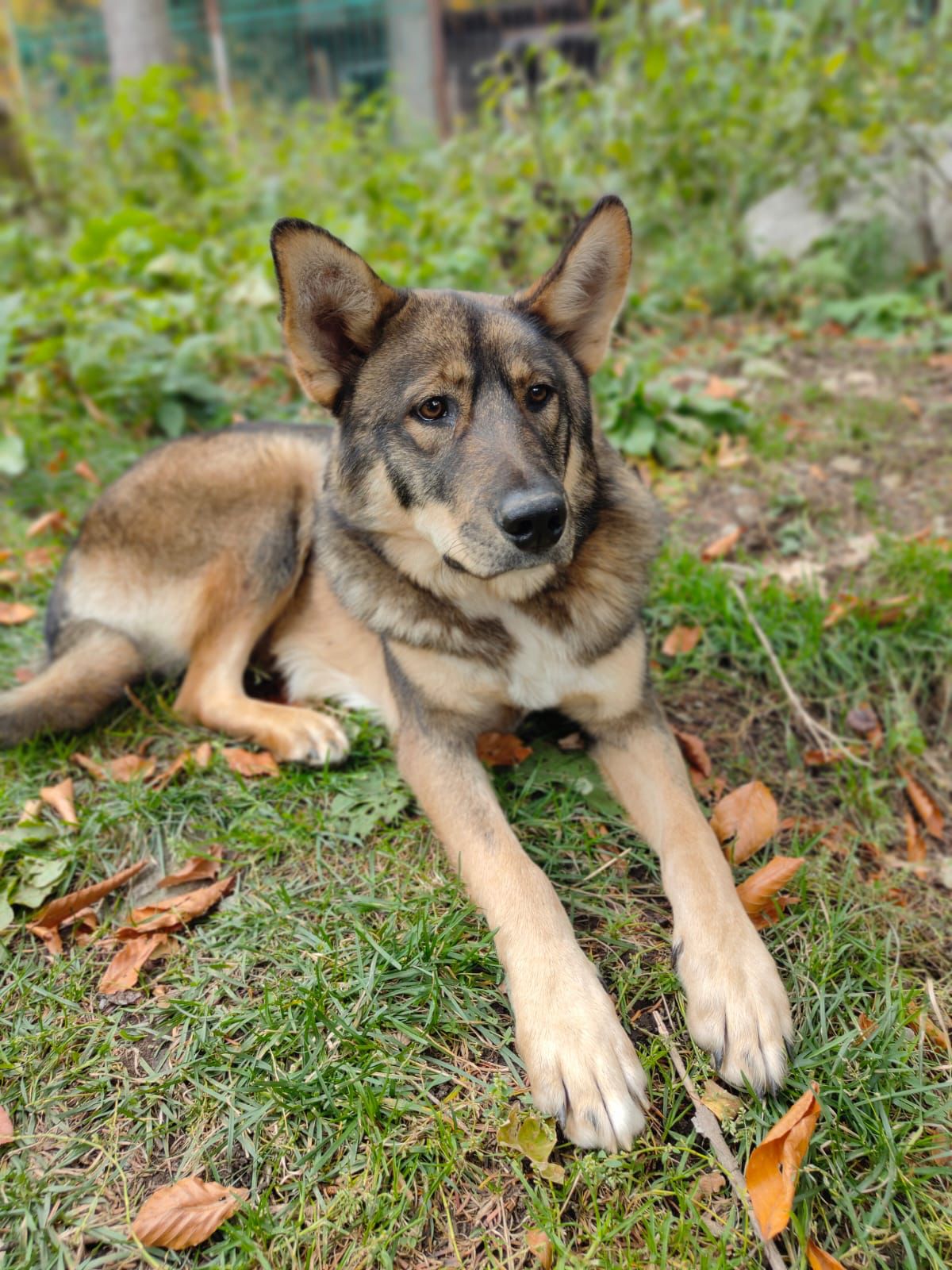 Треккинг тур Домбай.Перезагрузка (60/85)