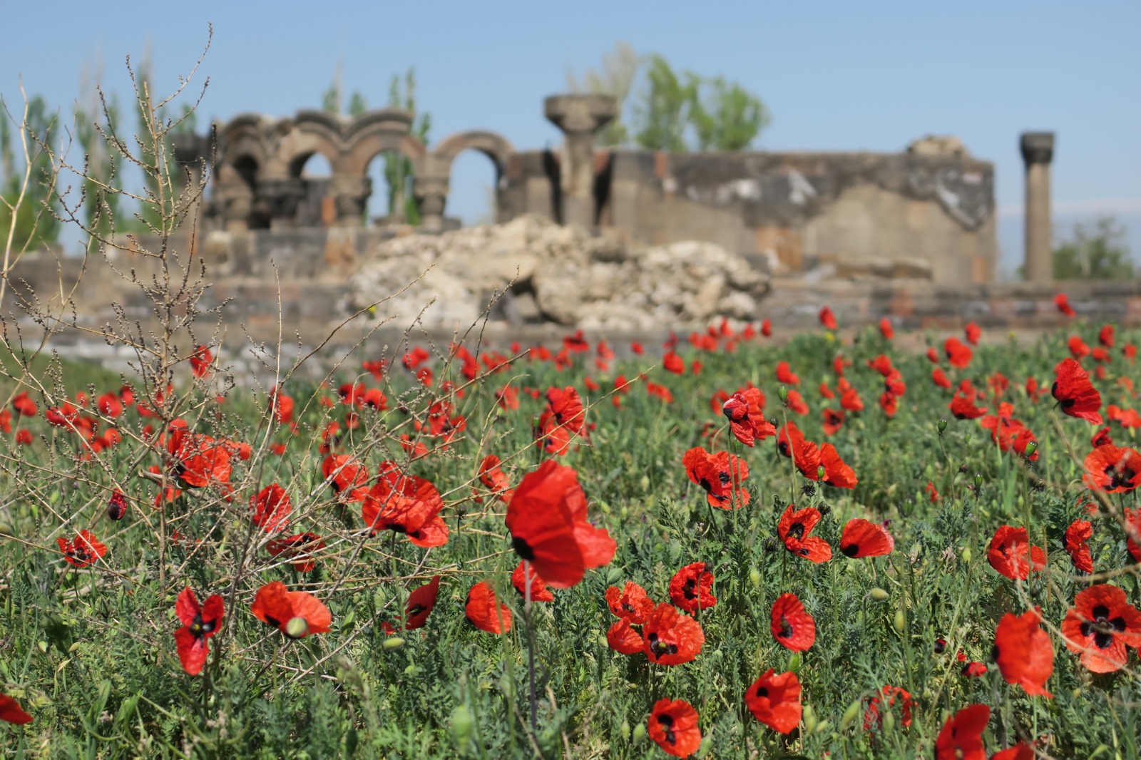 Секреты Армении: за гранью обыденного. Тур по Северу (6/27)