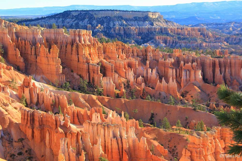 Юта, Аризона и Колорадо (8/32)