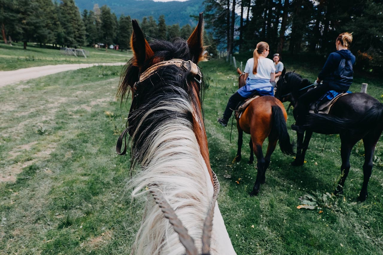 Захватывающий Кавказ: Архыз и Эльбрус (17/29)