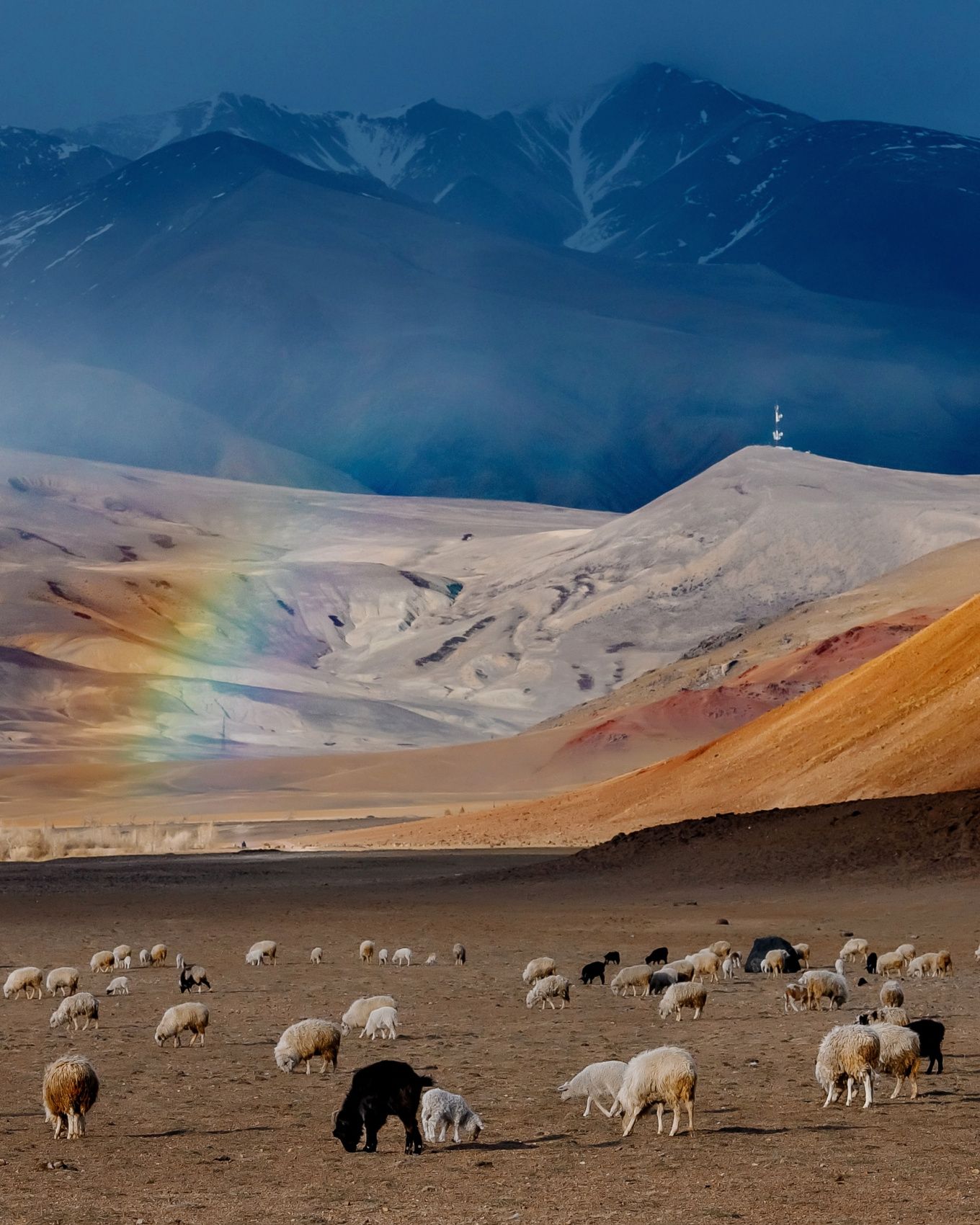 Перезагрузка в горах Алтая 2026 (14/62)