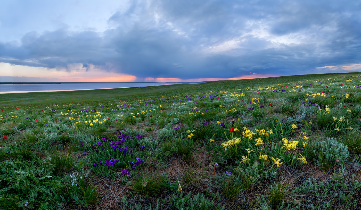 Путешествие в цветущую степь (15/26)