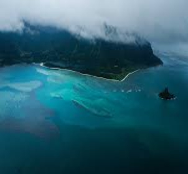 Алоха, Гавайи! (10/33)