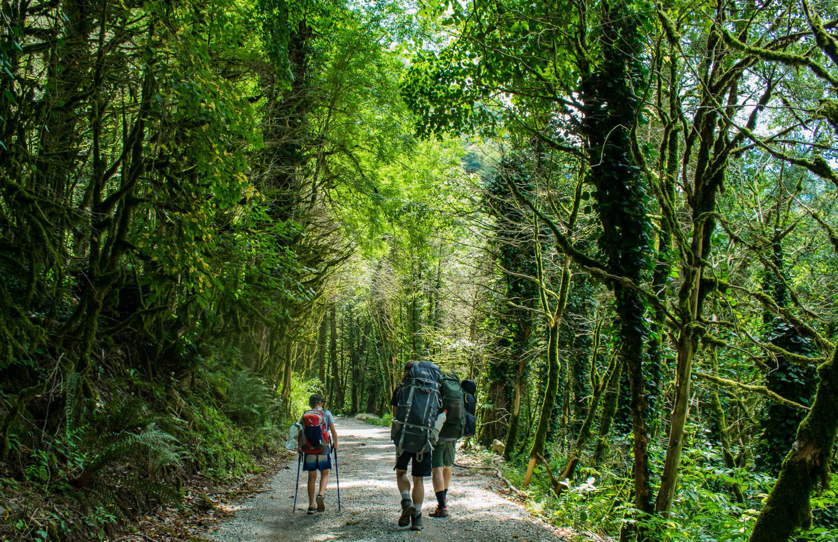 Поход по Кавказу Через горы к морю Легендарный 30й маршрут (14/35)