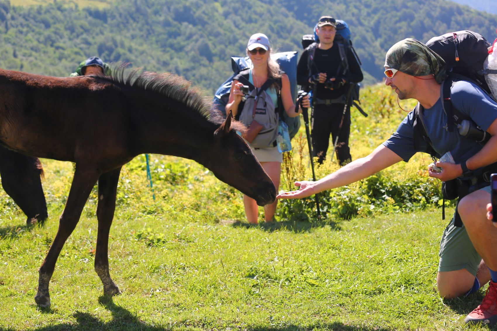 Поход по Кавказу Через горы к морю Легендарный 30й маршрут (5/35)
