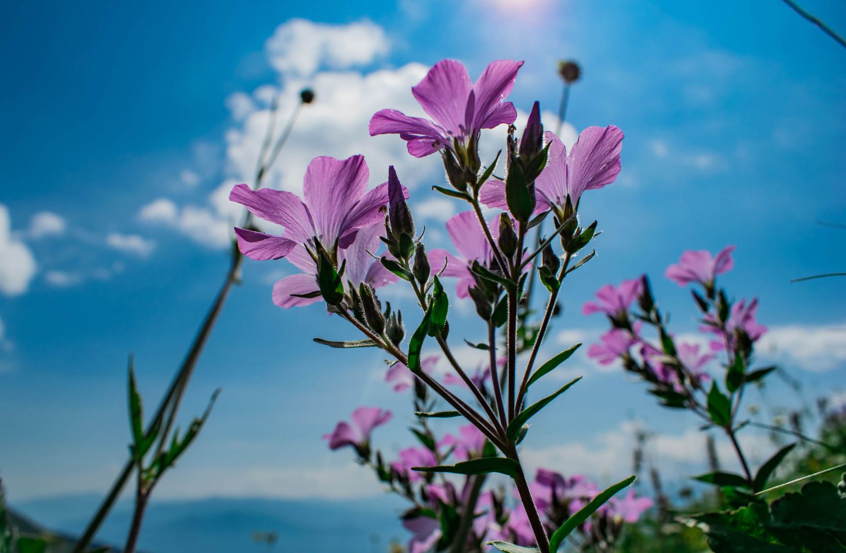 Поход по Кавказу Через горы к морю Легендарный 30й маршрут (13/35)