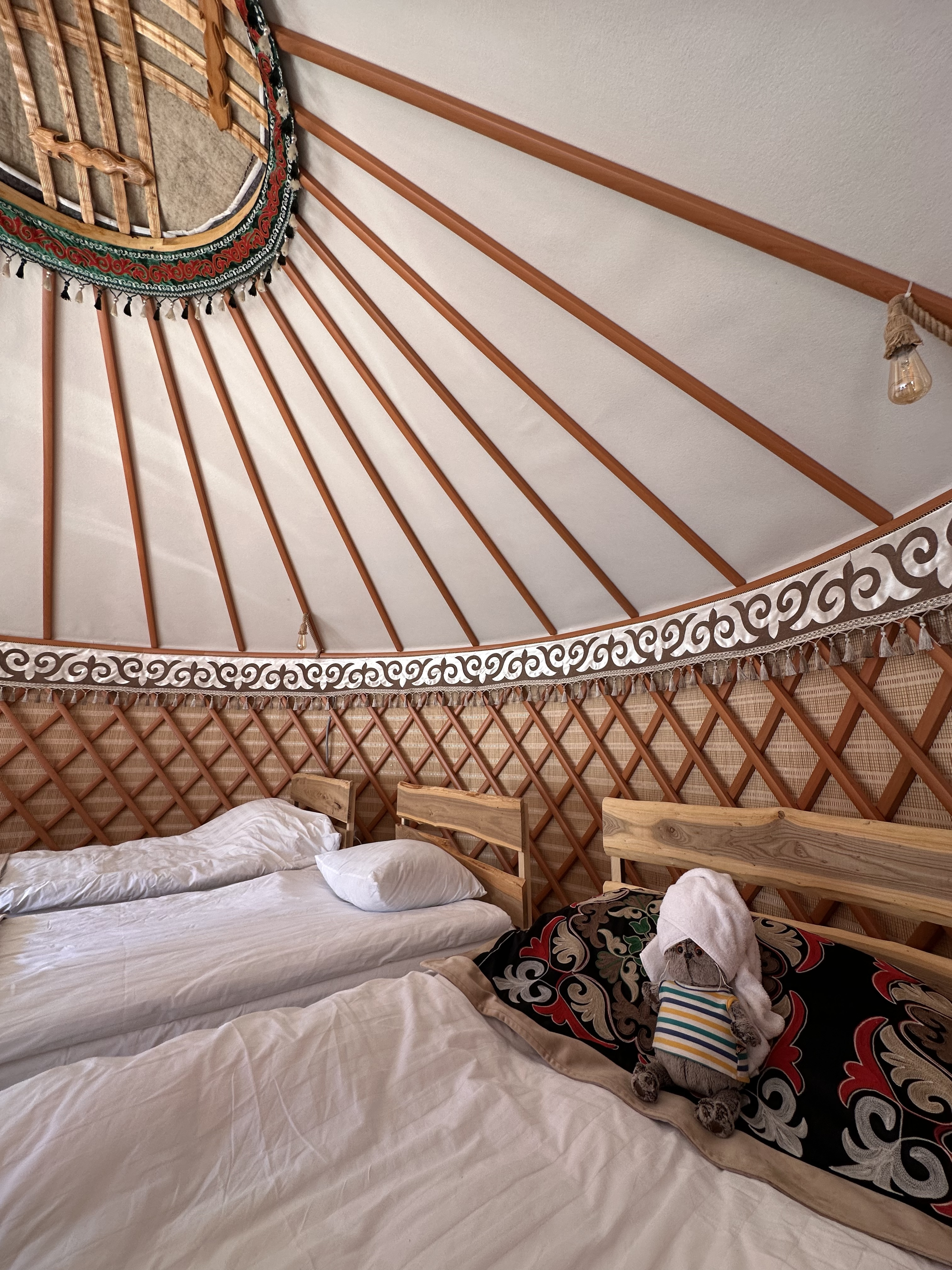 Vip Джип тур: Мир красоты и гармонии Чон-Кемина (11/11)