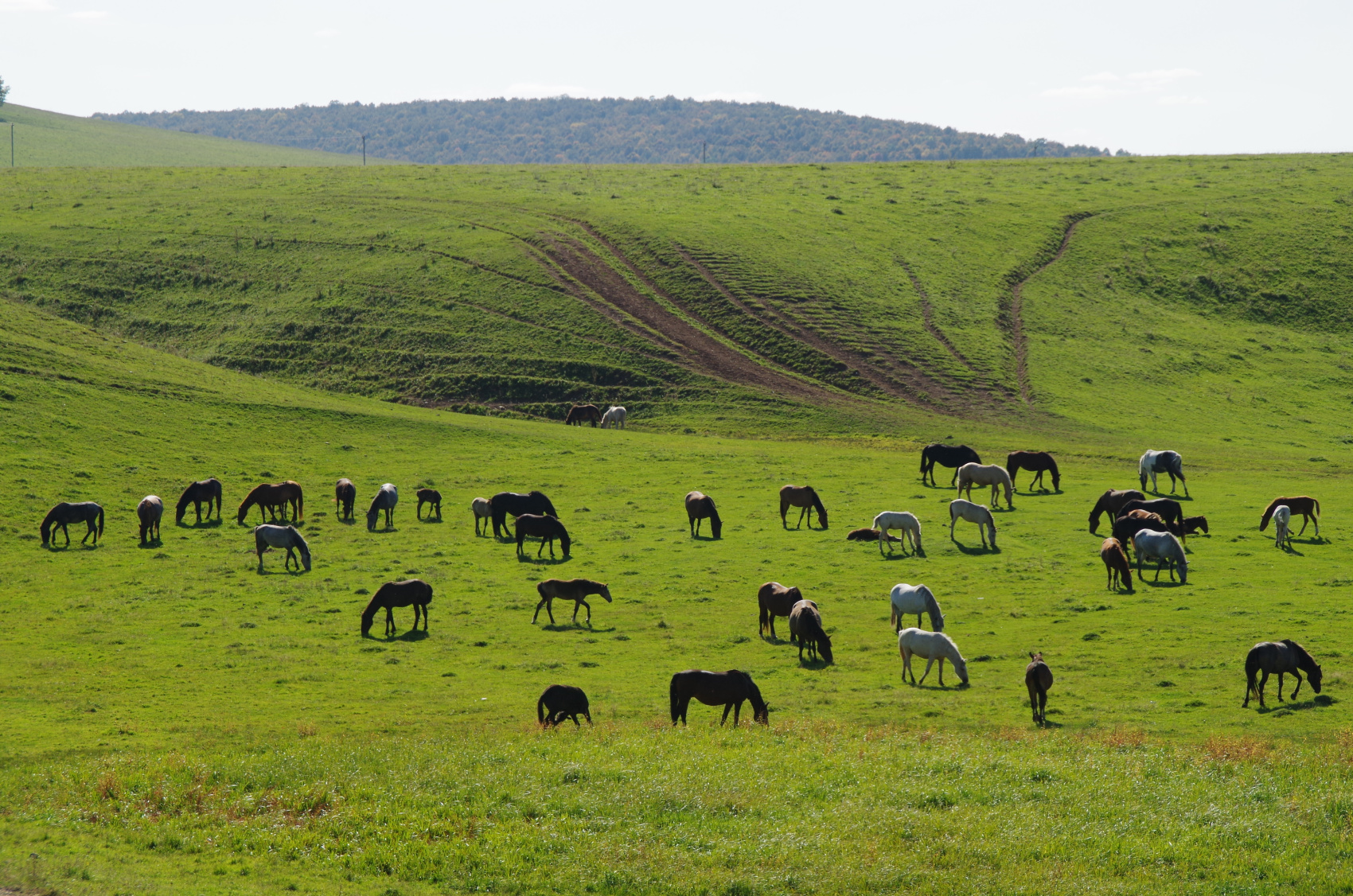 Башкирский Урал (11/47)