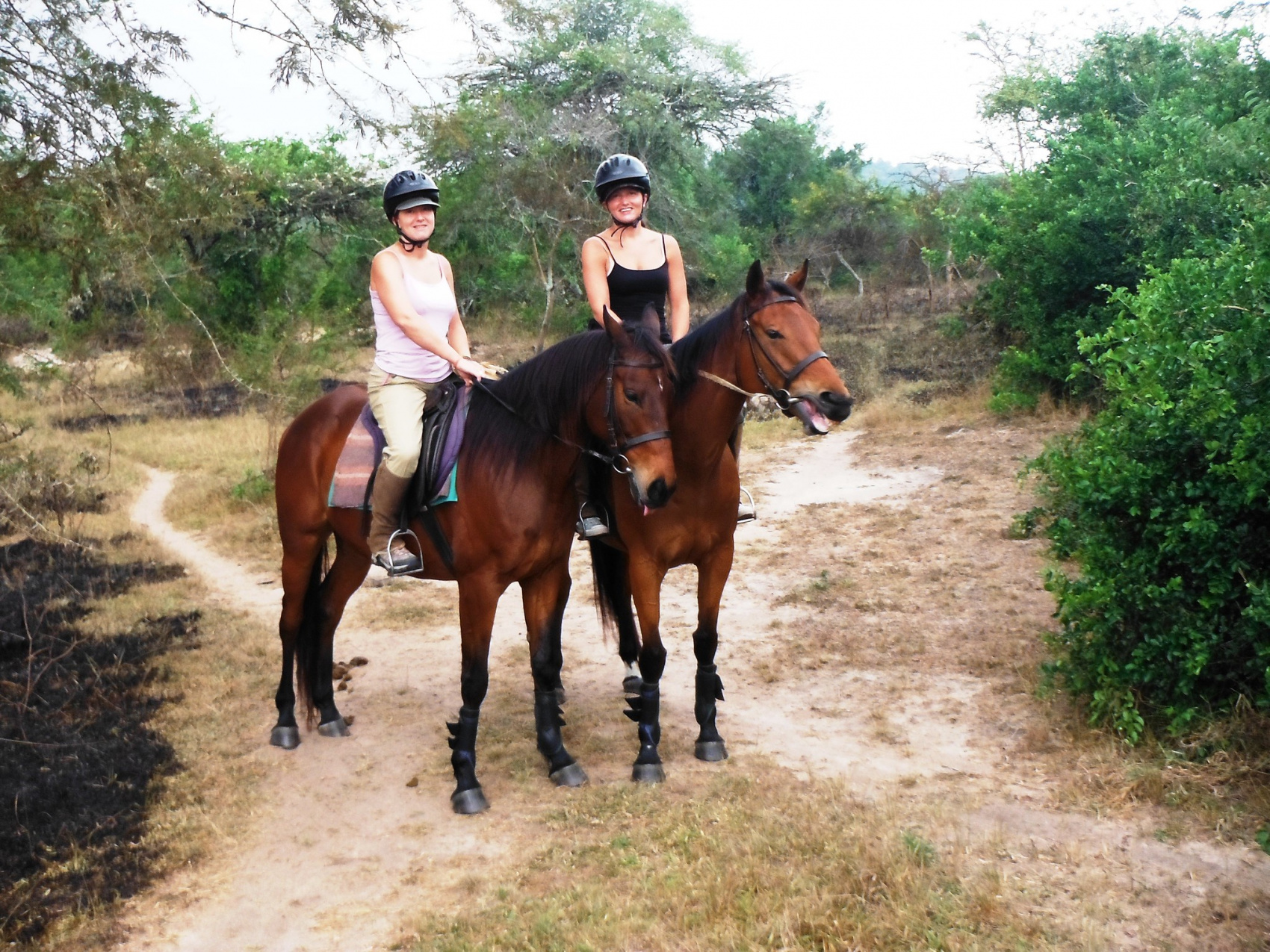 6-дневное походное сафари с гориллами и шимпанзе в Уганде (7/25)