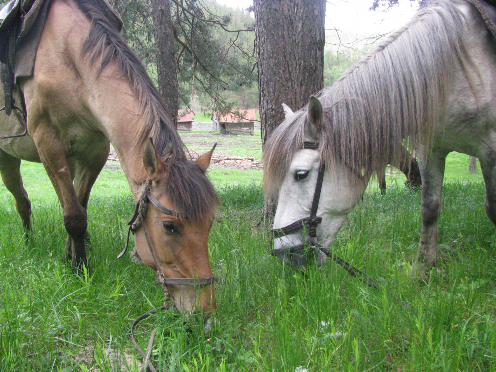 Башкирия для Вас (6/16)
