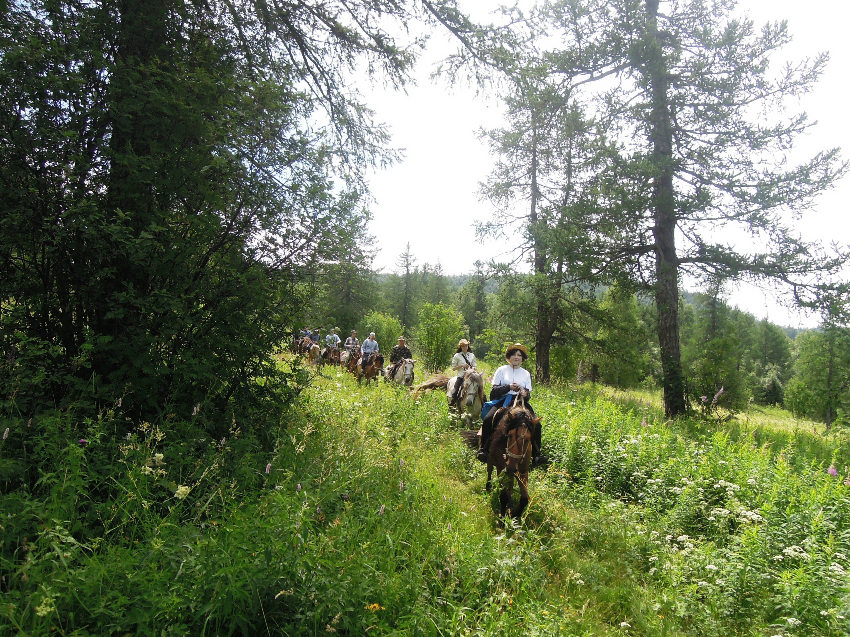 Поход по Уралу: горы и реки (16/74)