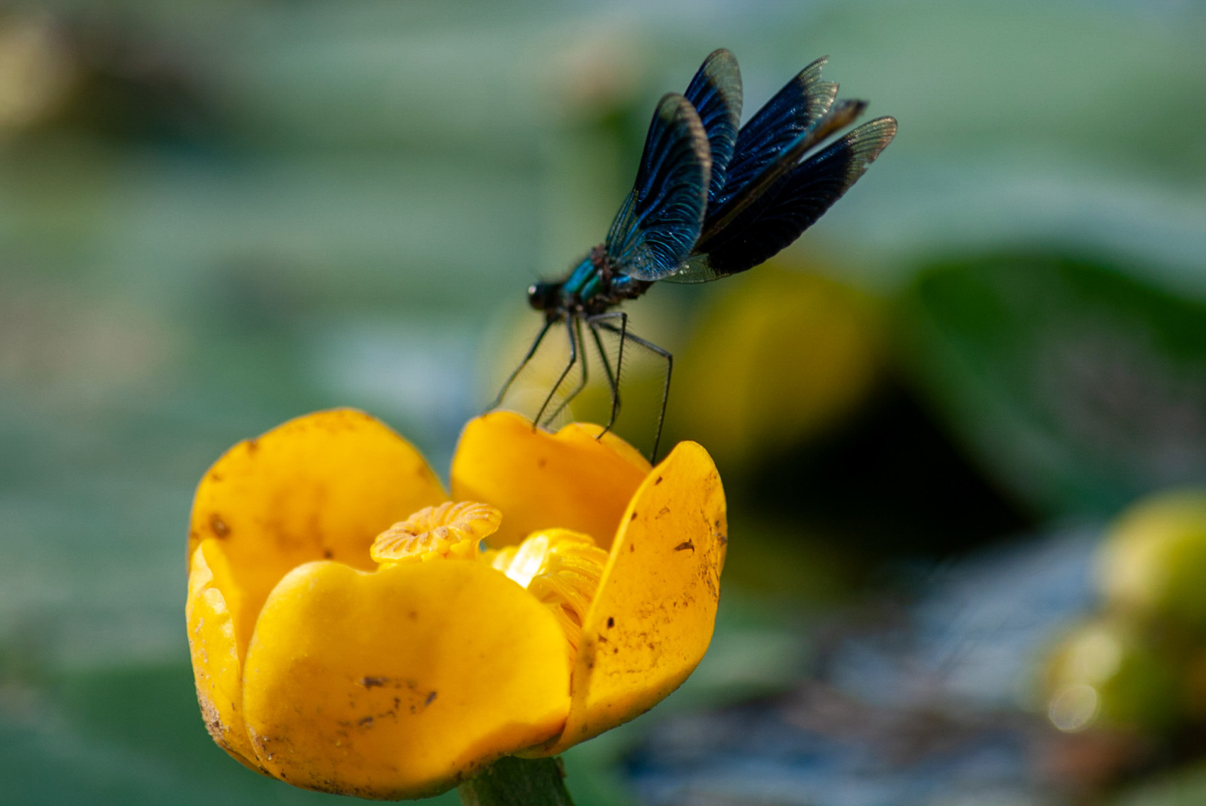 Поход по Уралу: горы и реки (30/74)