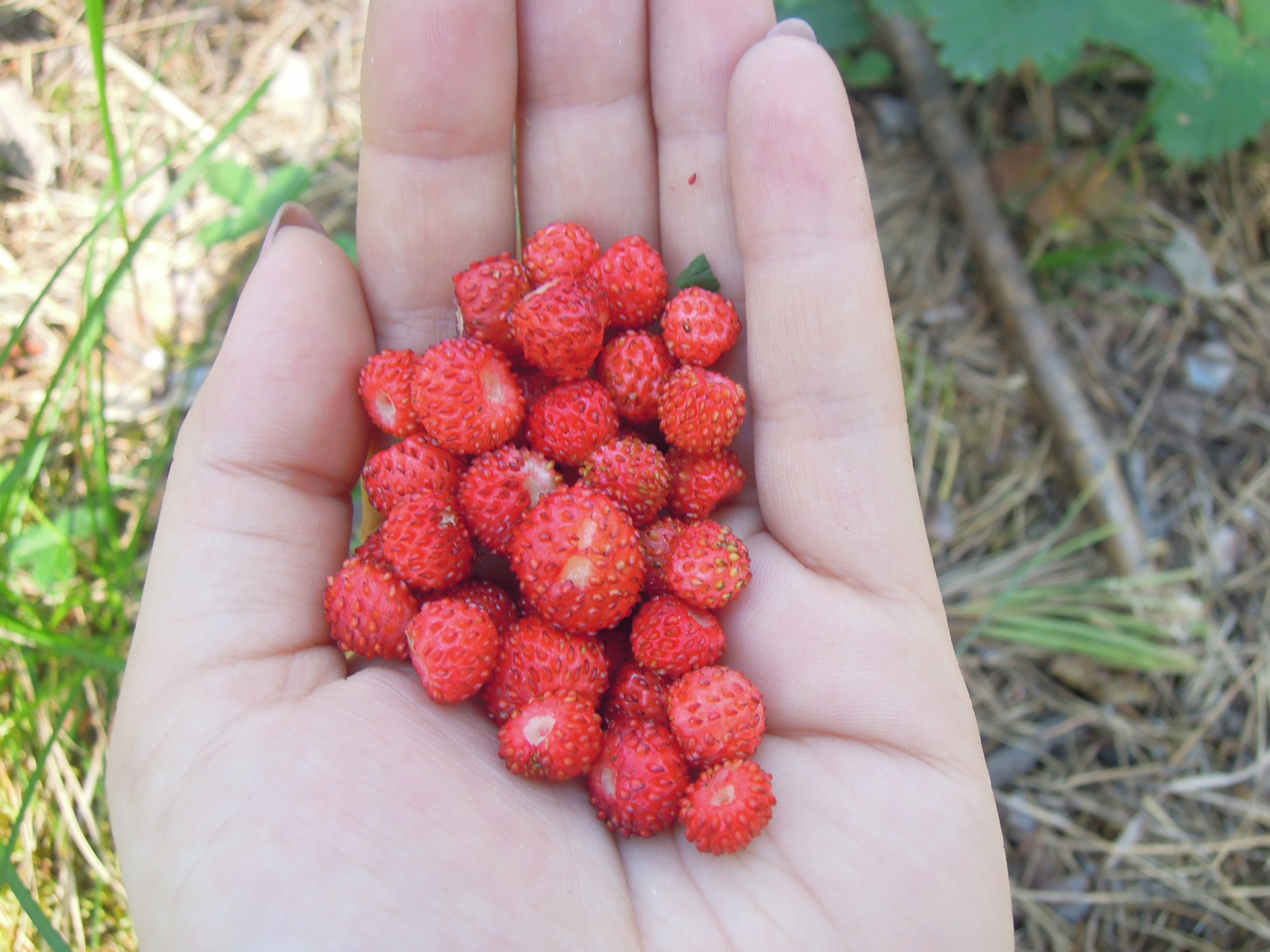 Поход по Уралу: горы и реки (8/74)