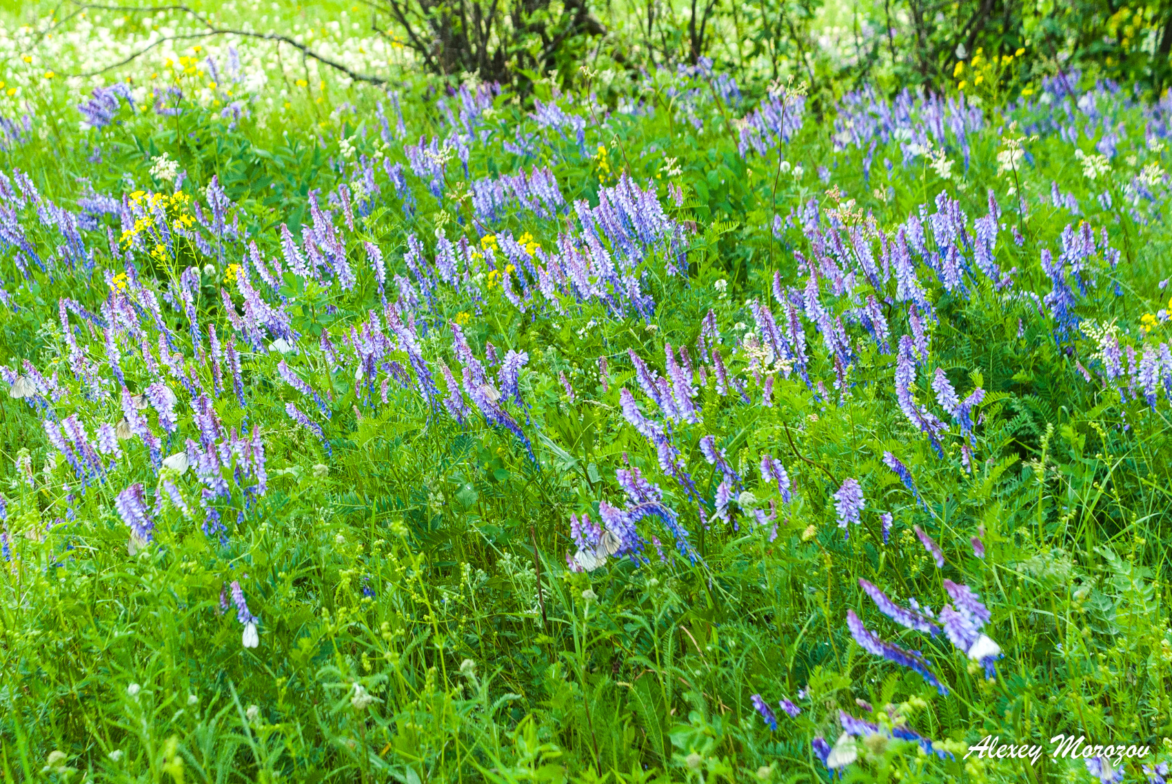 Поход по Уралу: горы и реки (42/74)