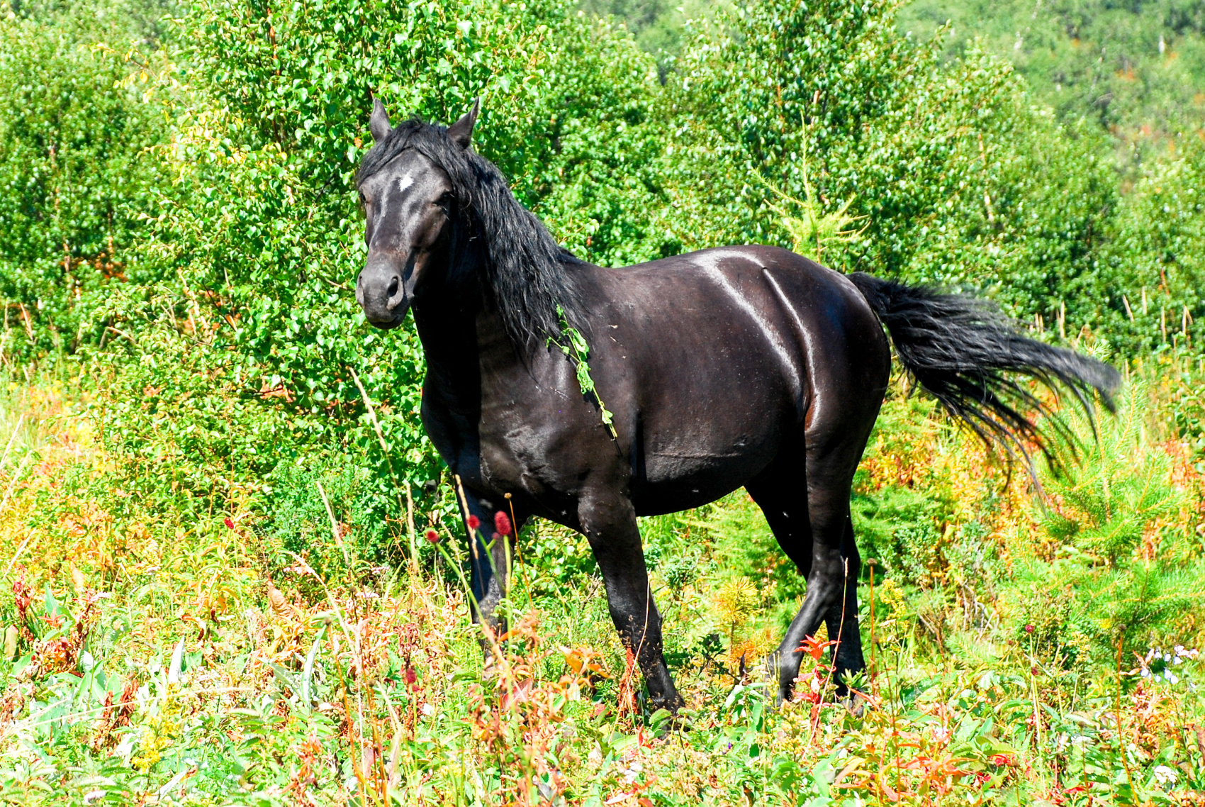 Поход по Уралу: горы и реки (3/74)