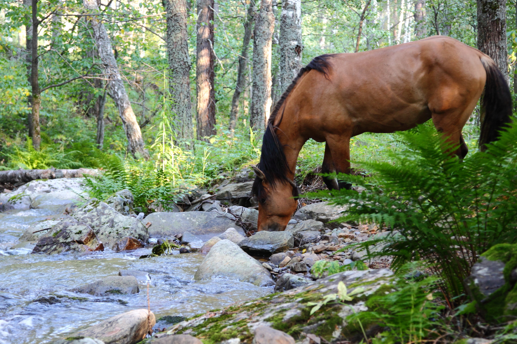 Выходные на реке Белая (9/25)