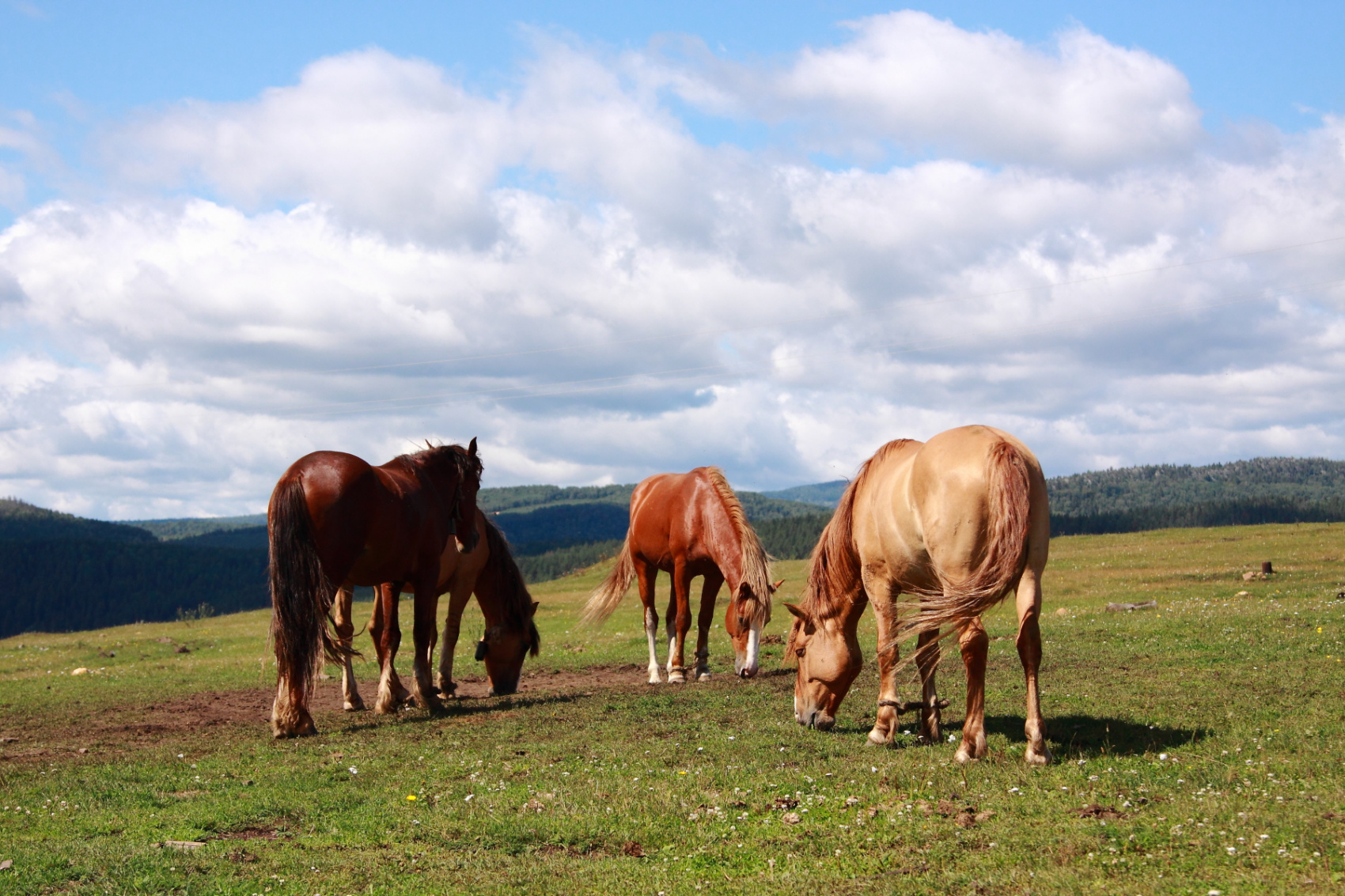 Выходные на реке Белая (4/25)